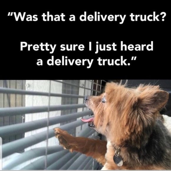 Take Care of Yourself - Picture 12 of 16